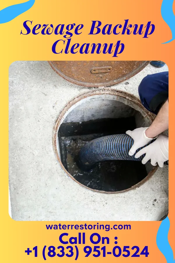 Sewage Backup Cleanup in Grenville, NM